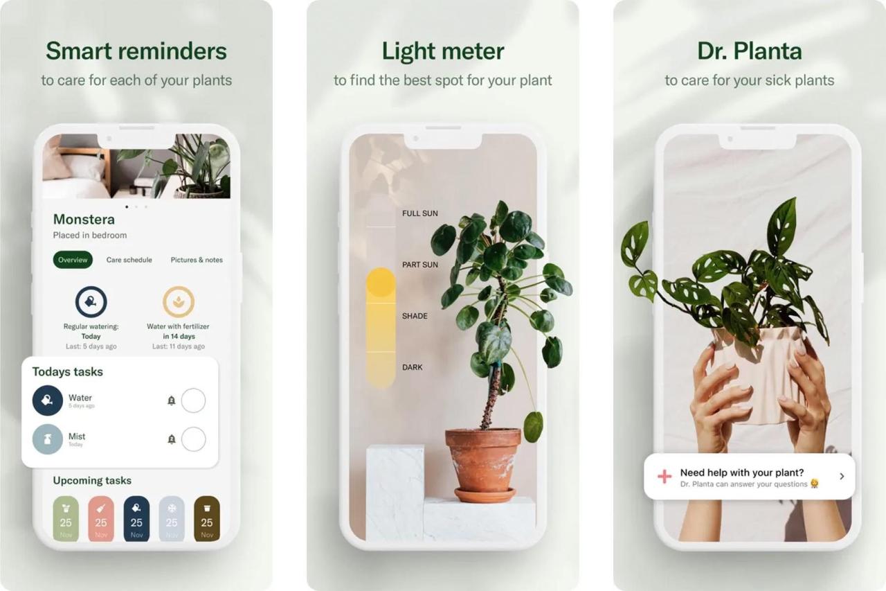 Plant Care App Free: Your Ultimate Guide to Plant Parenthood